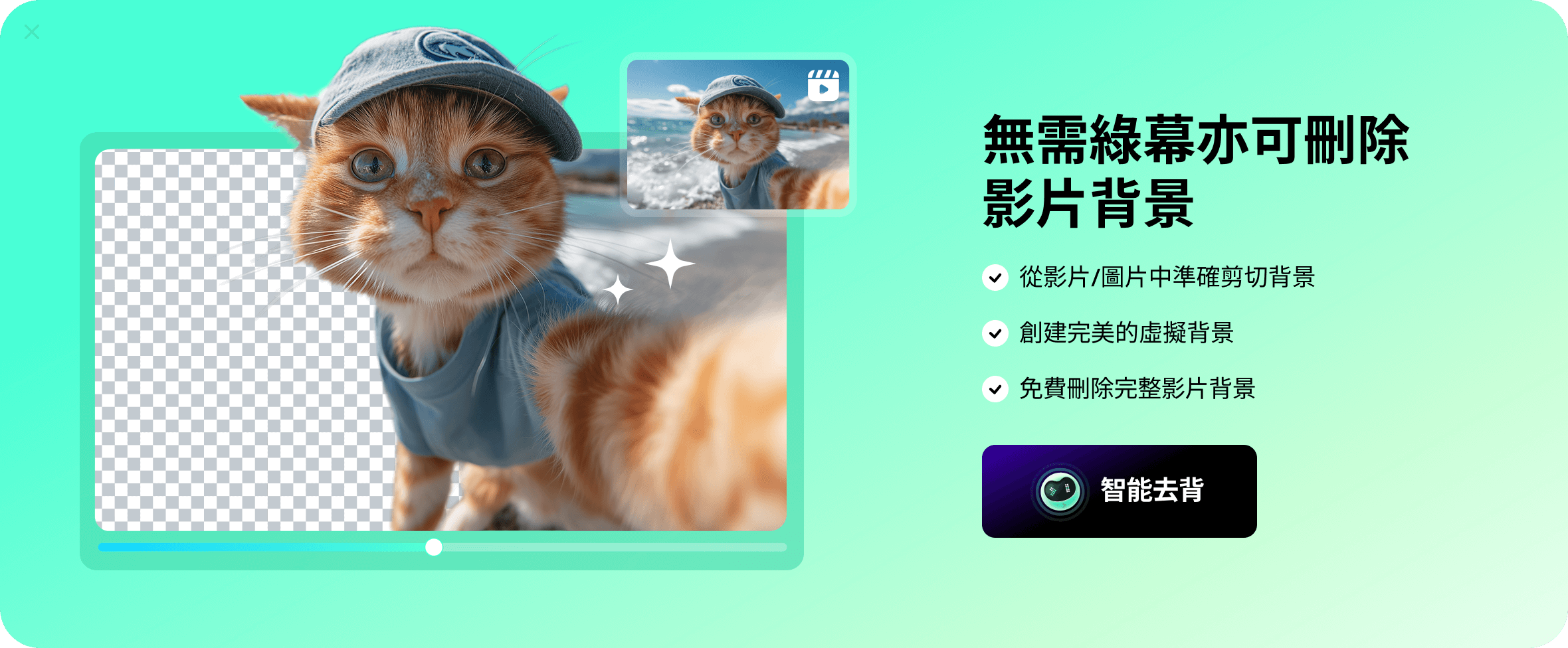 modalLeaveDownload pic